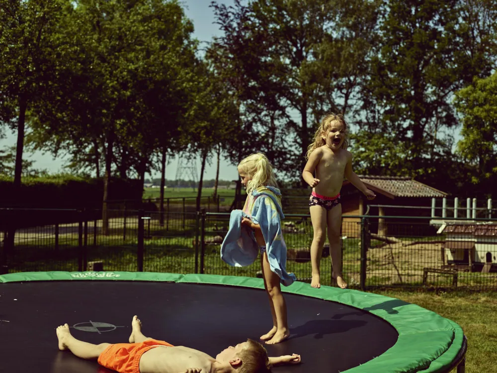 Camping Midden Drenthe - image n°5 - UniversalBooking