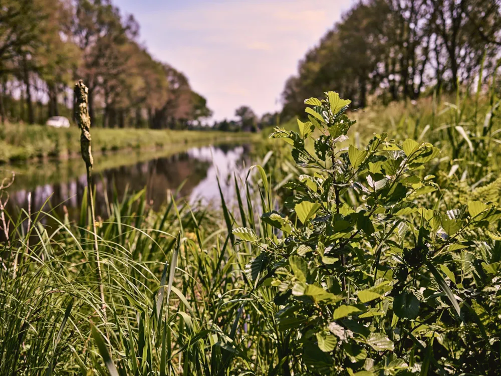 Camping Midden Drenthe - image n°34 - UniversalBooking