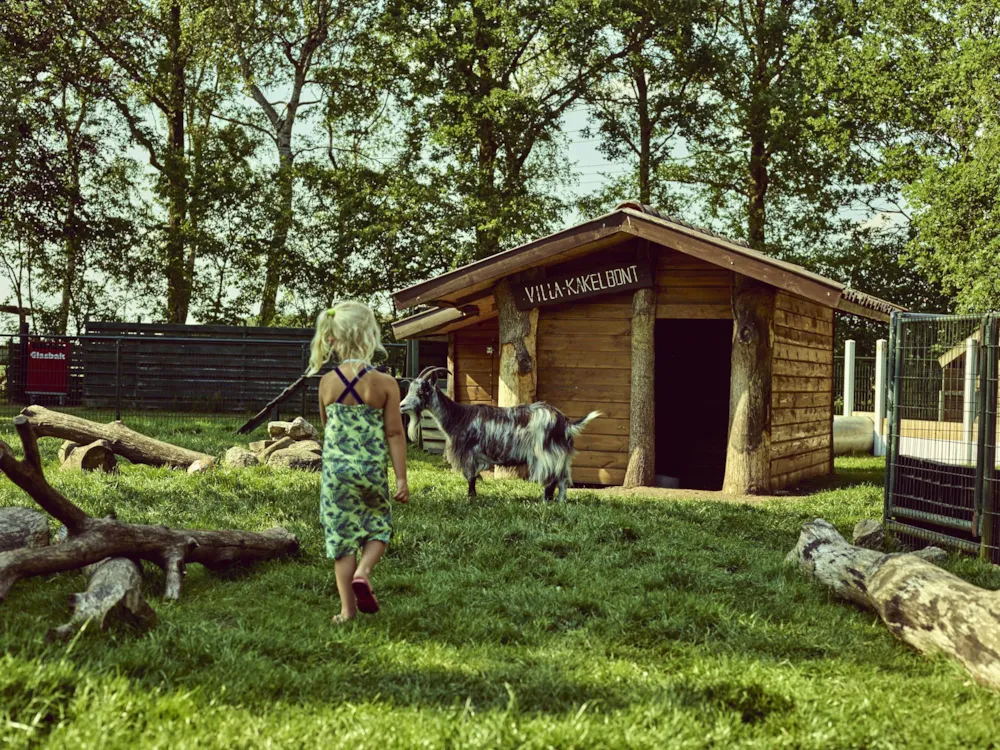 Camping Midden Drenthe - image n°20 - UniversalBooking