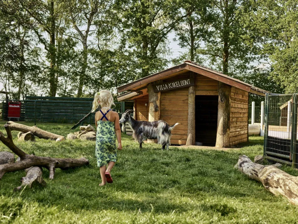 Camping Midden Drenthe