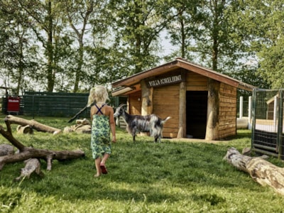 Camping Midden Drenthe