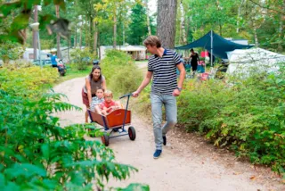 Landal Rabbit Hill camping