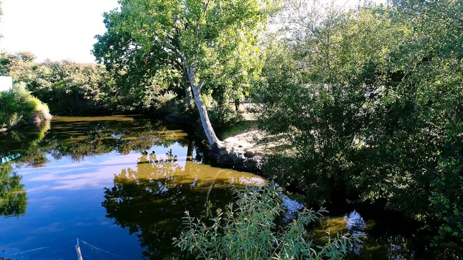 Camping Les P'tites Maisons dans la Prairie