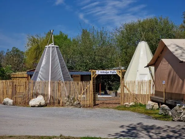 Tipi