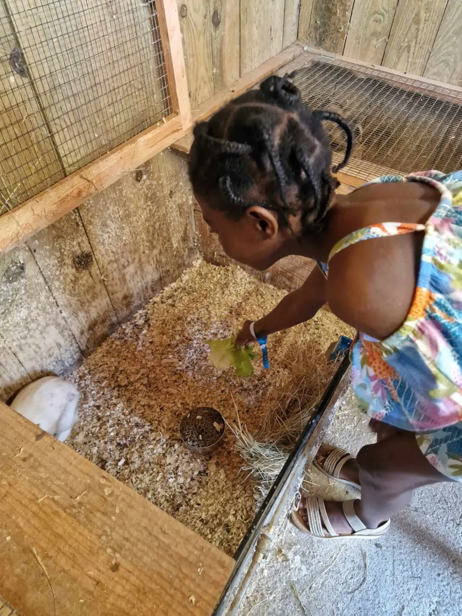 Camping Les P'tites Maisons dans la Prairie