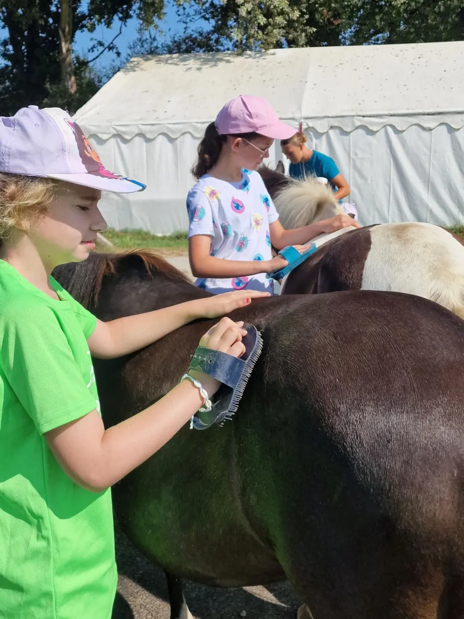 Camping Les P'tites Maisons dans la Prairie