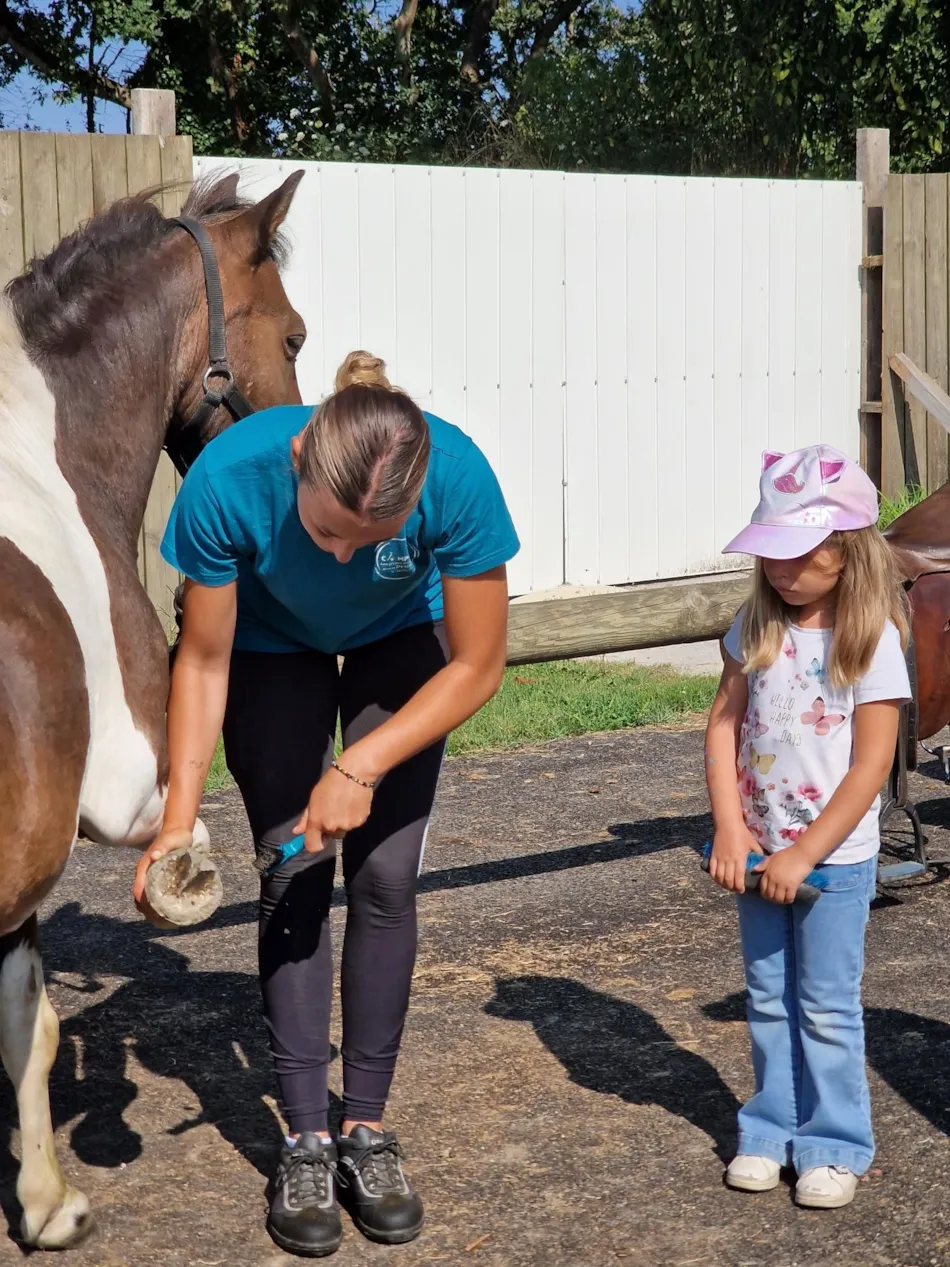Camping Les P'tites Maisons dans la Prairie