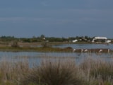 Foto #29 van Camping Naturiste Messidor