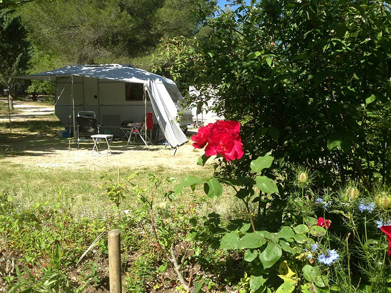 Pitch - Pitch - Camping Naturiste Messidor