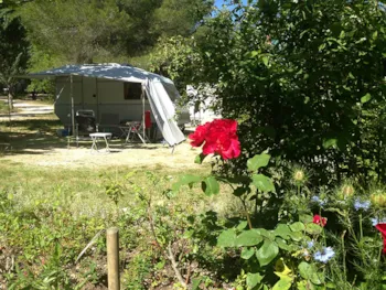 Pitch - Pitch + Electricity 4 A - Camping Naturiste Messidor
