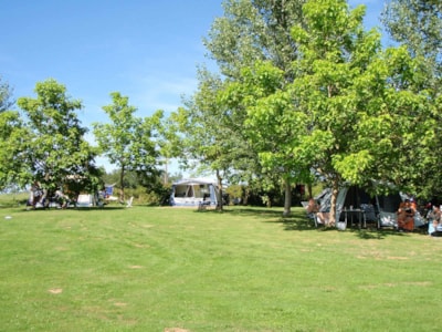 Camping Pitch including 6 amp electricity (YQ) — 1