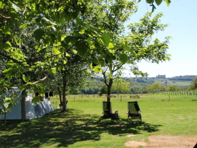 Camping Pitch including 6 amp electricity (TH) — 1