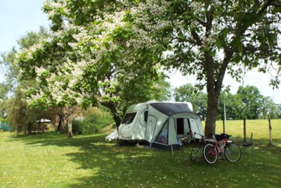 Camping Pitch including 6 amp electricity (YD) — 1
