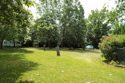 Camping Pitch (Tent, Caravan or Campervan) including 6 amp electricity (YE2) adults only — 1