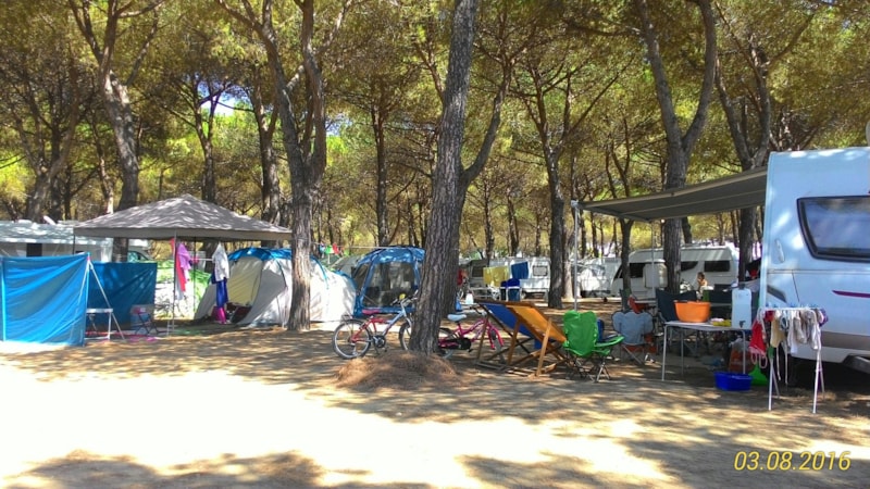 komfort standplaats  (pets allowed) (Honden toegestaan)