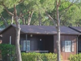 Bungalow Marina Toscana Mare - B20 - Ac/Tv (Animali Non Ammessi) Bungalow Marina Toscana Mare - B20 - Ac/Tv (Animali Non Ammessi)