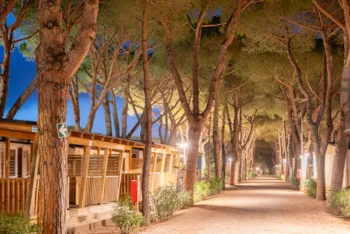 Club del Sole Orbetello Family Collection - image n°2 - Camping Direct
