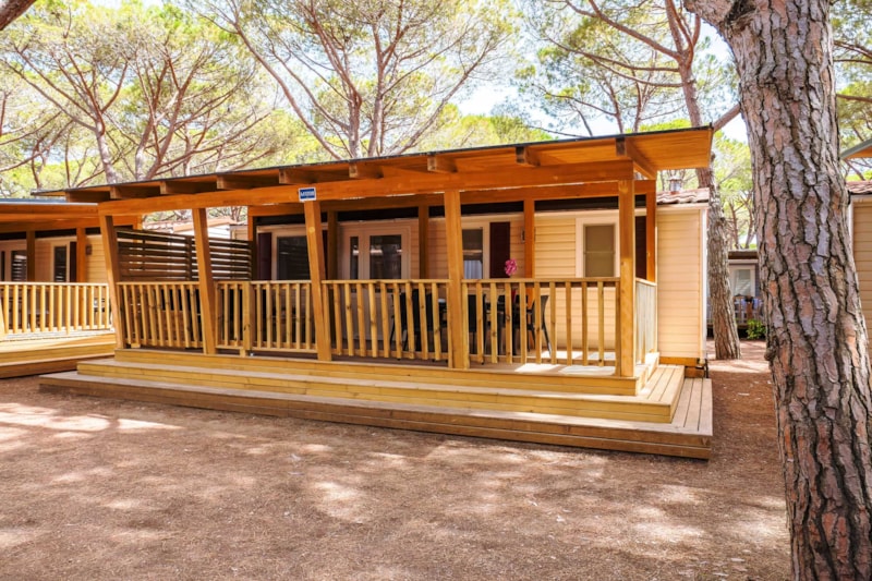 Lodge Comfort huisdieren toegestaan