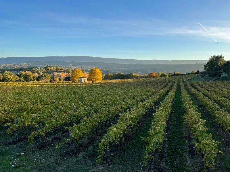 Camping Le Luberon 