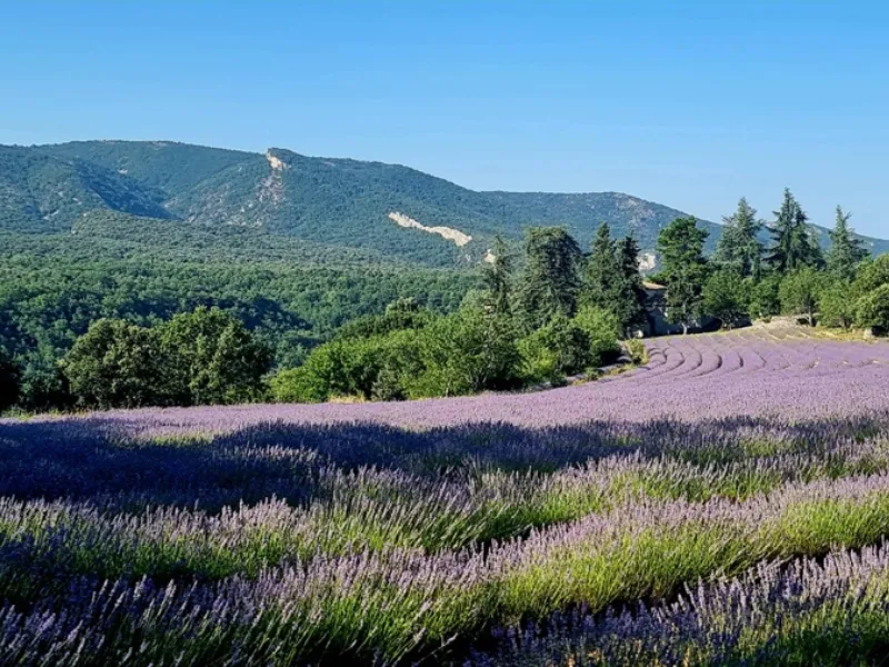 Camping Le Luberon 