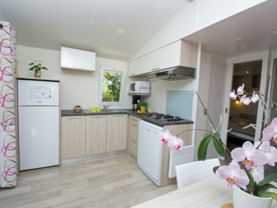Mobil-home Provence  27m ²  + Half-covered terrace — 2