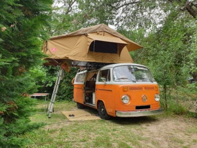 Comfort Pitch medium Tent/Van < 6 meters (electricity included) — 1