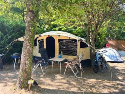 Comfort Pitch medium Tent/Van < 6 meters (electricity included) — 2