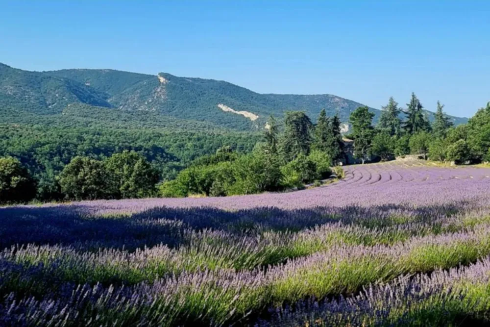 Camping Le Luberon 