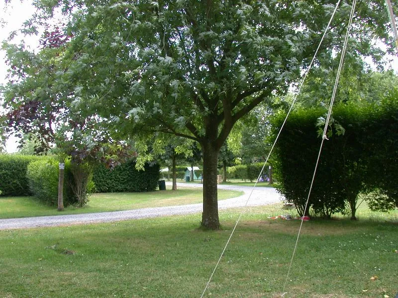 Emplacement Avec Véhicule - 100M² - Avec Électricité