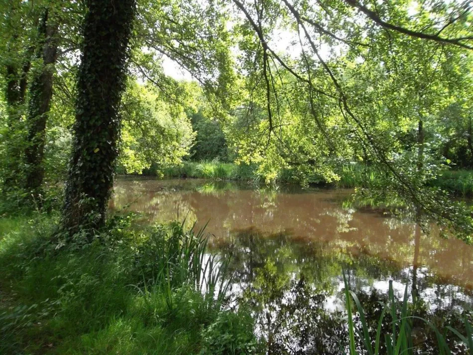 Flower Camping Beauchêne