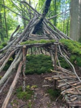 Foto #60 van Le Bois Guillaume