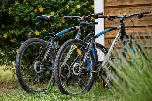 Accommodation - Chalet - 2 Bedrooms - 1 Bathroom - Micocoulier Premium Bike - image n°3 - Castel Domaine de Sévenier & Spa