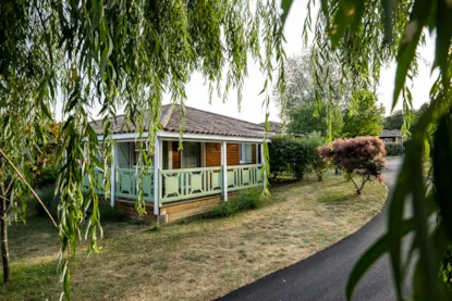 Chalet - 2 Bedrooms - 1 Bathroom - Micocoulier Premium Dog