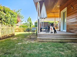 Locatif - Chalet - 2 Zimmer - 1 Badzimmer - Micocoulier Premium Hund - Castel Domaine de Sévenier & Spa