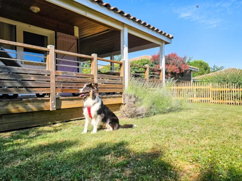 Accommodation - Chalet - 2 Bedrooms - 1 Bathroom - Micocoulier Premium Dog - image n°2 - Castel Domaine de Sévenier & Spa