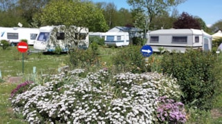  Flower Camping Le Rompval Mers-Les-Bains Picardy France Audio