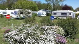 Établissement Flower Camping Le Rompval - Mers-Les-Bains