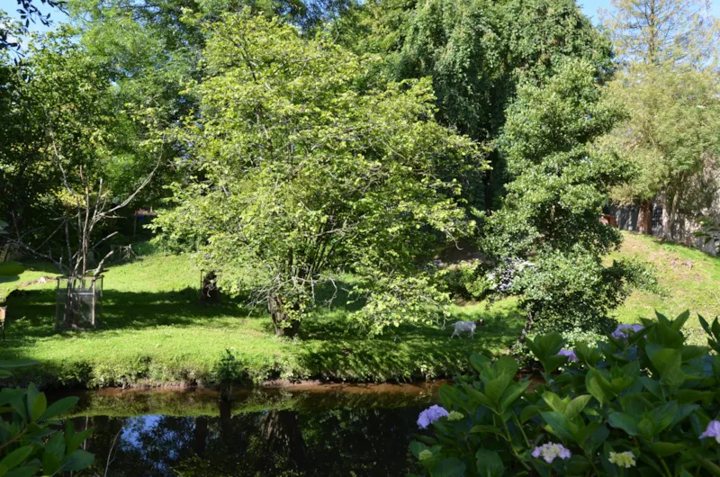 Forfait Randonneur À Pied Ou À Vélo Avec Tente
