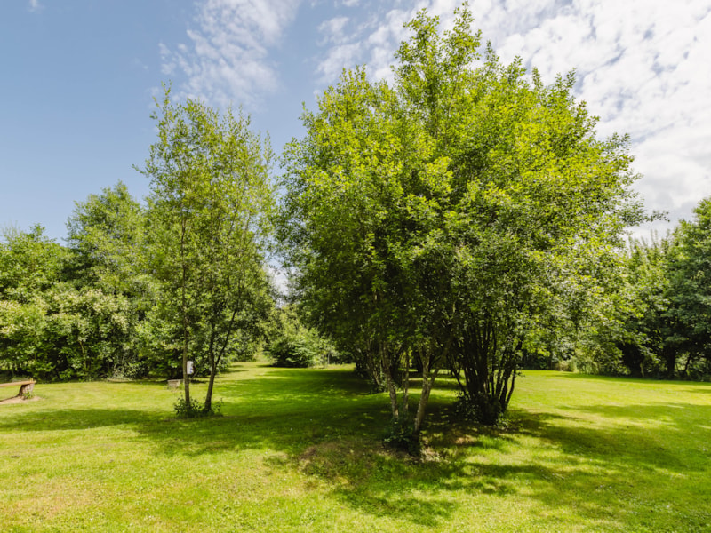 Stellplatz Nature : 1 Auto + Zelt
