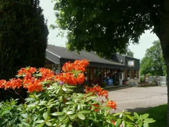 Camping les Dômes - image n°2 - Camping Direct