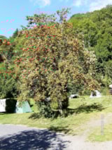 Foto #6 van Camping L’Ombrage