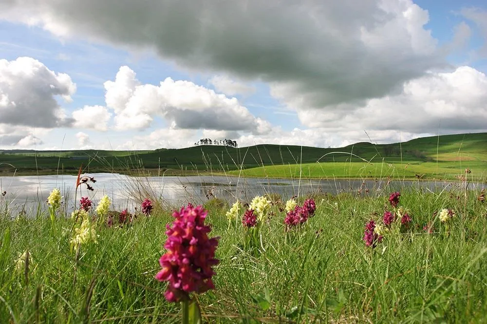 Flower Camping Le Belvédère