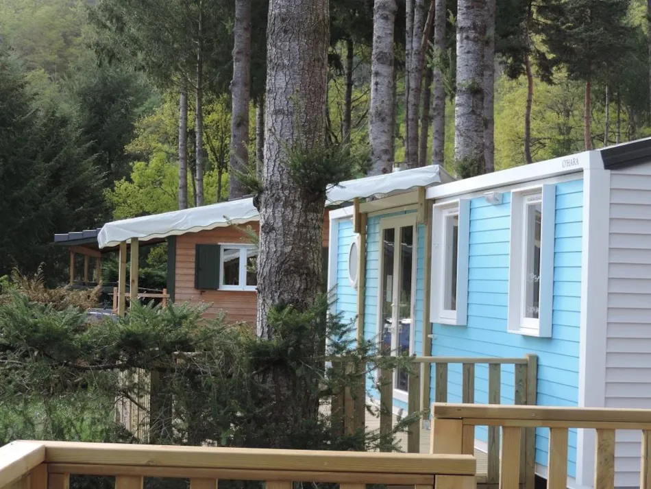 Flower Camping Le Belvédère - Auvergne - Cantal