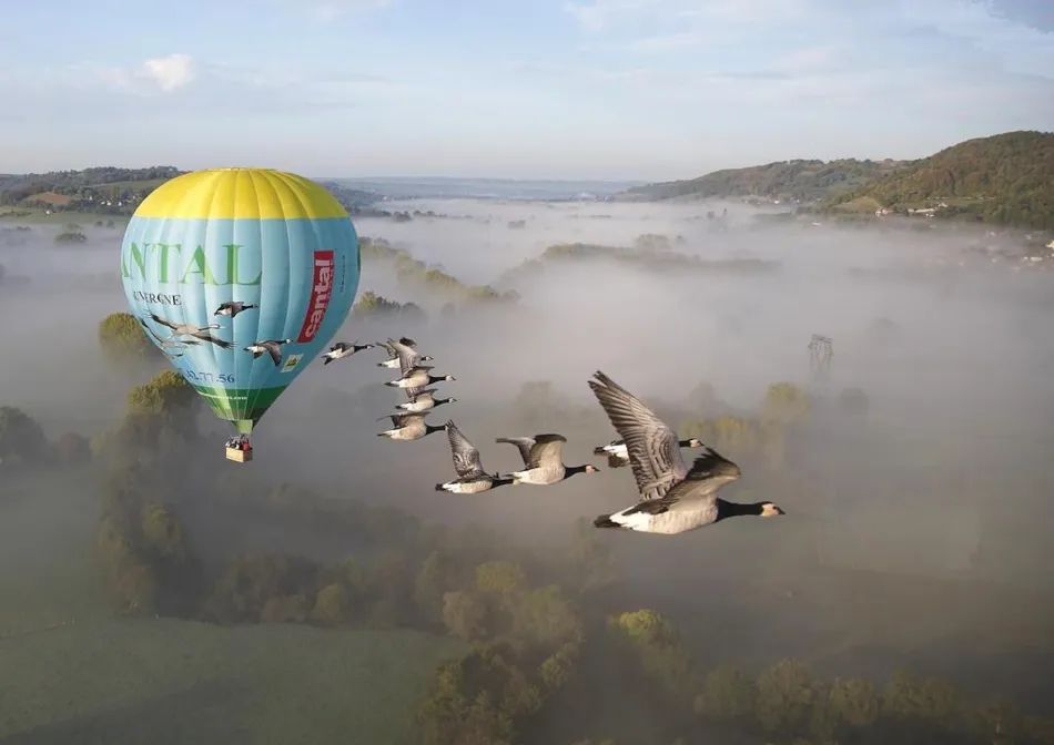 Flower Camping Le Belvédère - Auvergne - Cantal