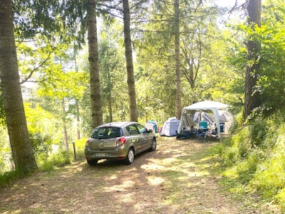 Nature Pitch