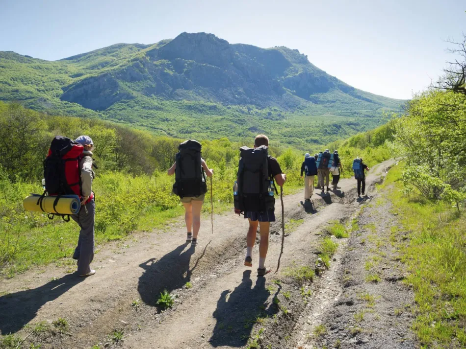 Flower Camping Le Belvédère - Auvergne - Cantal