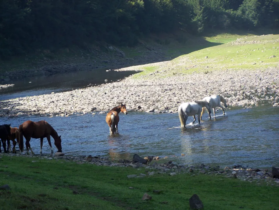 Domaine de la Taillade