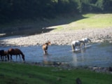 Foto #5 van Domaine de la Taillade
