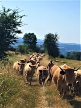 Foto #10 van Domaine de la Taillade