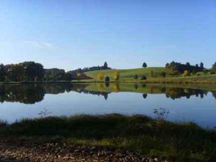 Domaine de l'Angelaud - Camping2Be
